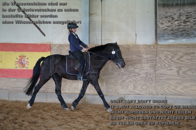s_K3F04387.JPG